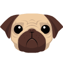 Pug